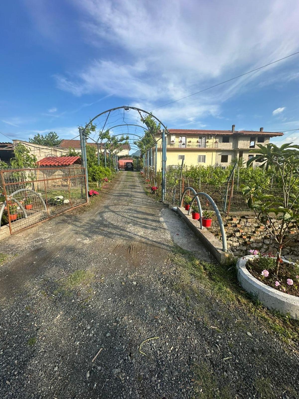 Guesthouse Marku - Mrizi I Zanave Fishte Exterior photo